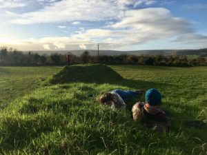mental health issues abroad - Ireland